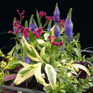 画像3: 寄せ植え No'40