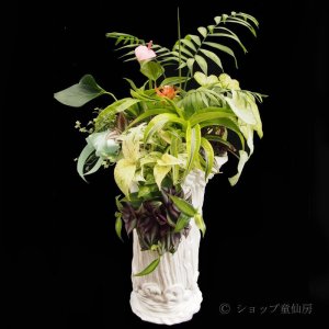 画像8: 寄せ植え No'46