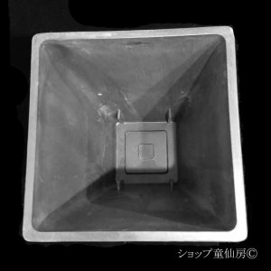 画像3: 樹脂鉢・ステータススクエアポット32・ブラック