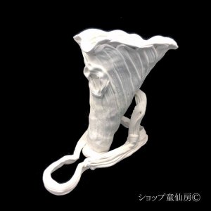 画像1: 綱木紋・鉢・磯の花 L・オフホワイト〜ライトグレー