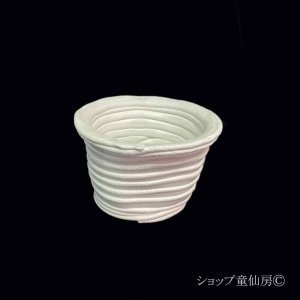 画像5: 綱木紋・鉢・ハミング・オフホワイト〜ライトグレー