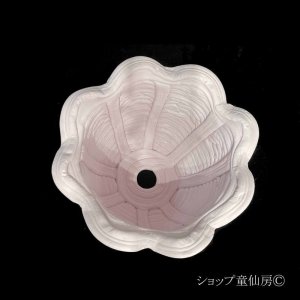 画像2: 綱木紋・鉢・マーガレットM・ピンク