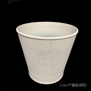 画像1: 樹脂鉢・フラテルニテサークルW ・ホワイト
