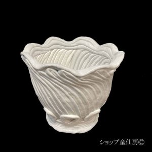 画像1: 綱木紋・鉢・マーガレットシンプルM・オフホワイト〜ライトグレー