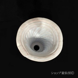 画像4: 綱木紋・鉢・スリムラン鉢・ブルーピンク混合色