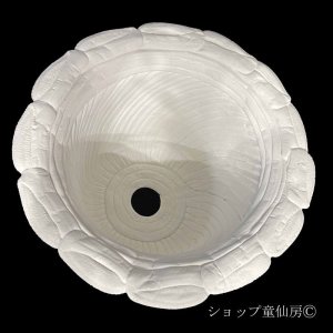 画像3: 綱木紋・鉢・丸鉢LL・オフホワイト〜ライトグレー