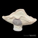 綱木紋・鉢・富士鉢・ピンクホワイト混合色１