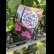 画像8: 四季咲【HBAディヴァフィオーレ・ローズ】大鉢植え
