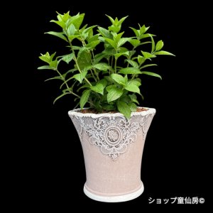 画像2: グラスファイバー鉢・ローズレースベーシックL-PK / ピンク　