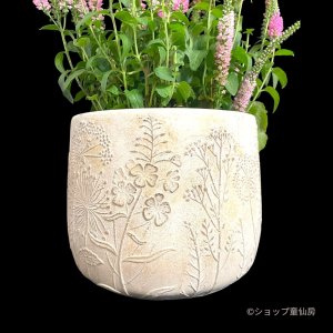 画像4: セメント鉢・シャンタルタンポポベーシックL