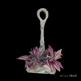 トラディスカンティア・パープルエレガンス・綱木紋植え