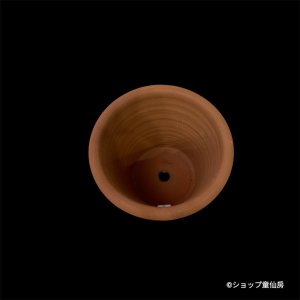 画像4: テラコッタ鉢・ウィッチフォード・Sutton Pink