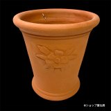テラコッタ鉢・ウィッチフォード・Hellebore pot(red band)