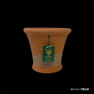 画像2: テラコッタ鉢・ウィッチフォード・Three Rose Roulette