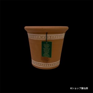 画像2: テラコッタ鉢・ウィッチフォード・Sutton Pink