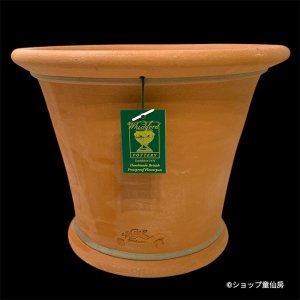 画像2: テラコッタ鉢・ウィッチフォード・Harmony Planter