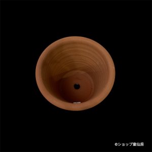 画像4: テラコッタ鉢・ウィッチフォード・Ribbon Pot