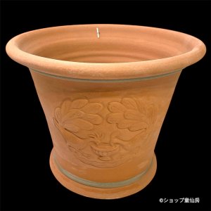 画像1: テラコッタ鉢・ウィッチフォード・Harmony Planter