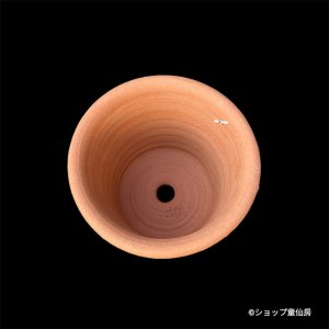 画像2: テラコッタ鉢・ウィッチフォード・ Clementine Pot