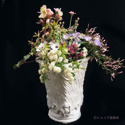マーガレット鉢M　綱木紋　特別　　花　限定品　結婚式　ホワイト