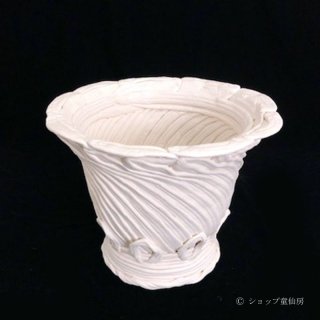 あなたのために数十万株の中から最高の一株をお選びしてお届けし