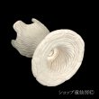 画像8: 綱木紋・鉢・3スリット固定台・オフホワイト〜ライトグレー (8)