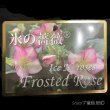 画像15: クリスマスローズ Ice N' roses 氷の薔薇フロステッドローズ6号 (15)