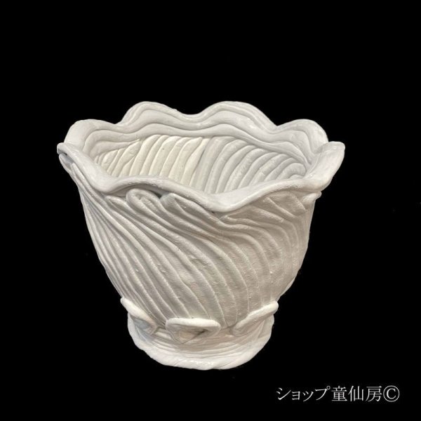 画像1: 綱木紋・鉢・マーガレットシンプルM・オフホワイト〜ライトグレー (1)