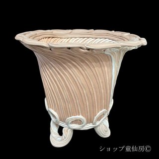 あなたのために数十万株の中から最高の一株をお選びしてお届けし