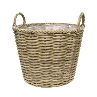 龍正   鉢 あなたのために数十万株の中から最高の一株をお選びしてお届けし