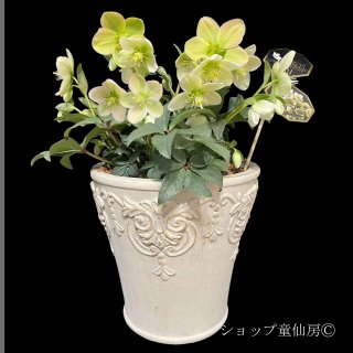全商品 - ショップ童仙房 (Page 3)