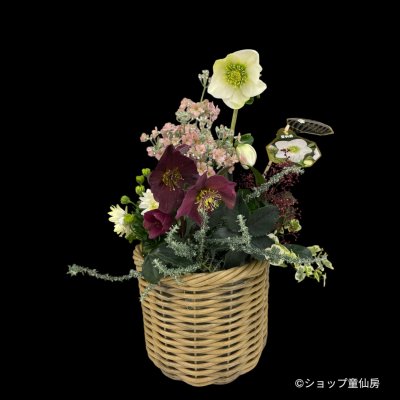 画像1: エコラタンバスケット18/PE18ーS
