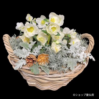 画像1: ラタンローハンドルバスケットL