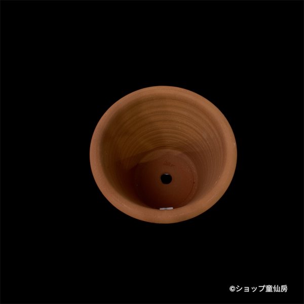 画像4: テラコッタ鉢・ウィッチフォード・Sutton Pink (4)