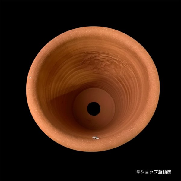 画像5: テラコッタ鉢・ウィッチフォード・Hellebore pot(red band) (5)