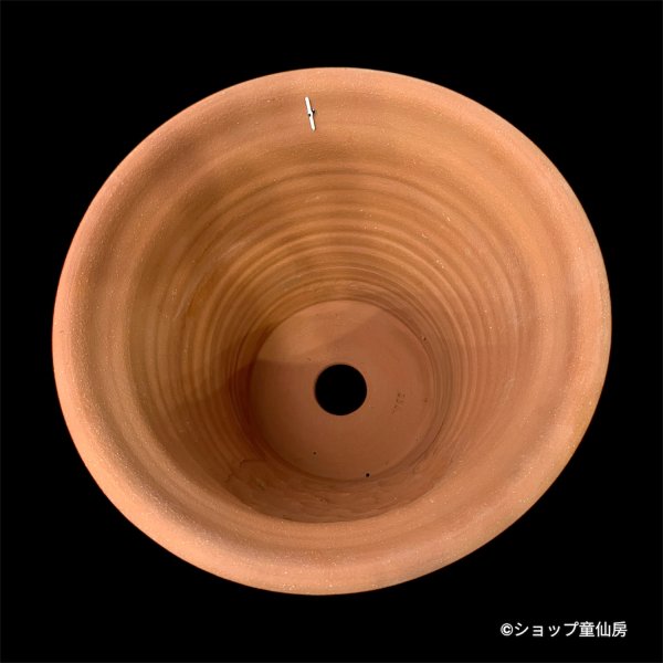 画像5: テラコッタ鉢・ウィッチフォード・Harmony Planter (5)