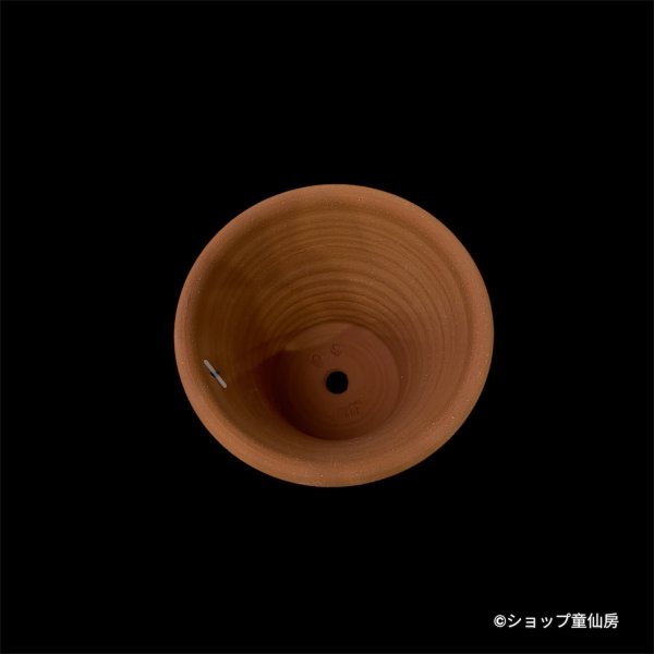 画像3: テラコッタ鉢・ウィッチフォード・Three Rose Roulette (3)