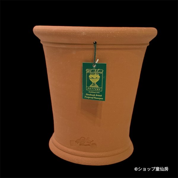 画像4: テラコッタ鉢・ウィッチフォード・Hellebore pot(red band) (4)