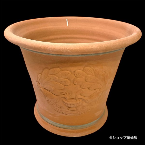 画像1: テラコッタ鉢・ウィッチフォード・Harmony Planter (1)