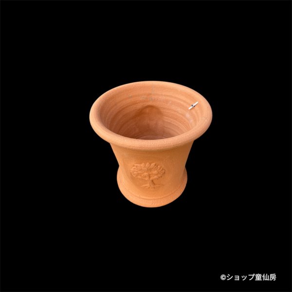 画像2: テラコッタ鉢・ウィッチフォード・Appletree Pot (2)